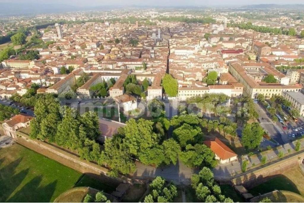 50 Metri Duomo Di Lucca Self Check-In E Wi-Fi Lägenhet Exteriör bild